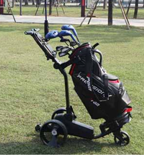 Carro de Golf Eléctrico